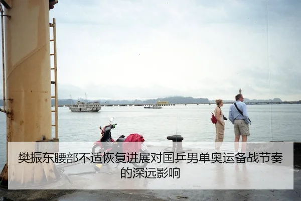 樊振东腰部不适恢复进展对国乒男单奥运备战节奏的深远影响